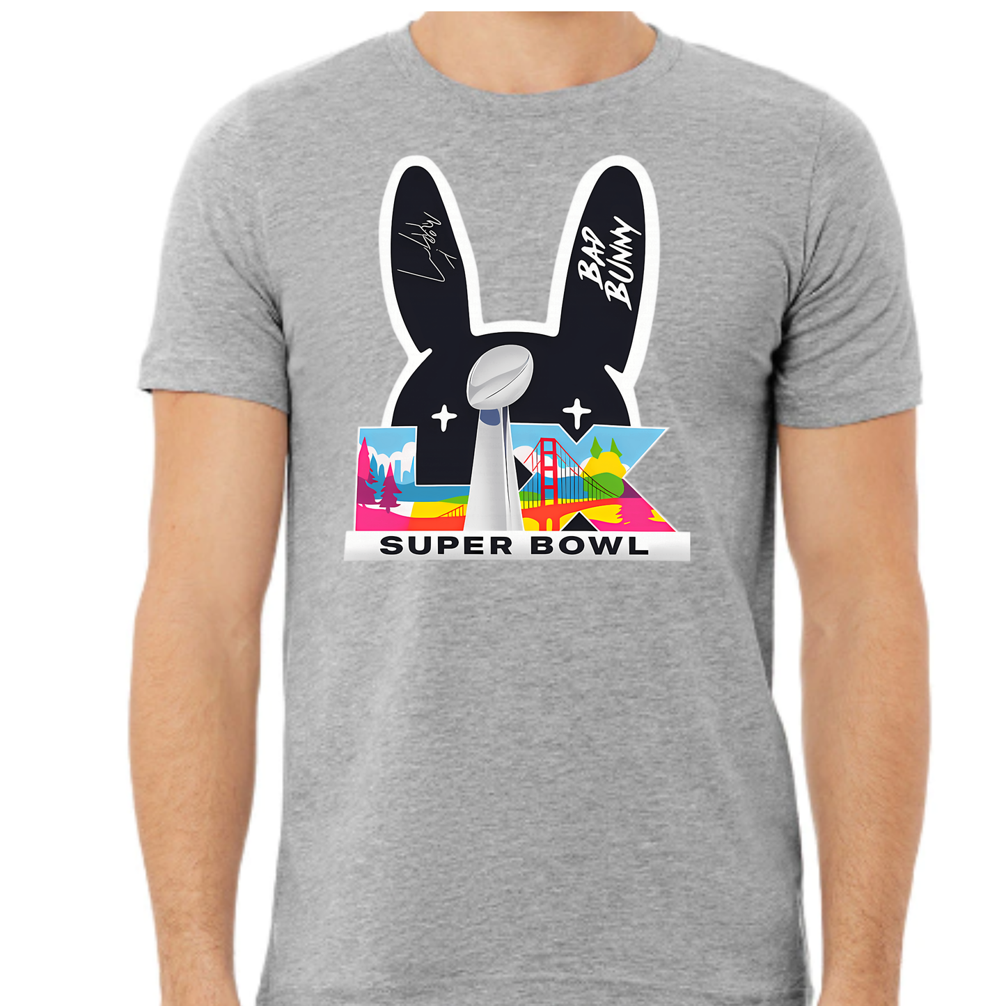 Super Bowl T-Shirt BB-Gray