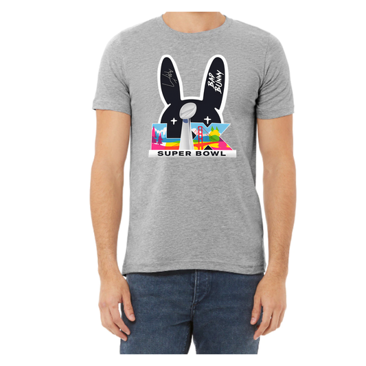 Super Bowl T-Shirt BB-Gray